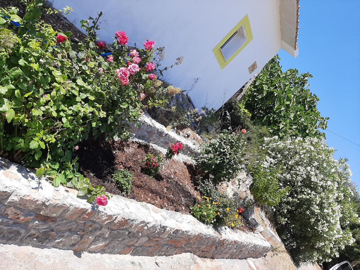 Lemon Garden 1 Villa Karidi Eksteriør billede